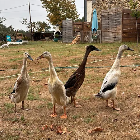 La Hulotte De Labarthe 3* Mazeres (Gironde)